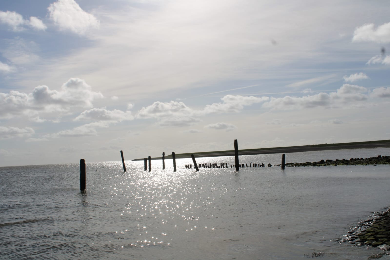 Fotografie Portfolio Collectie